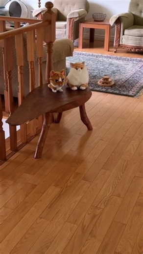 ASMR Murder Mittens on a Chalkboard 😁 . . . . . #catstagram #catloversclub #meowfeature #catsoftiktok #meowed #crazycatlover #MeowMonday #crazycats #catskills #crazycatpeople #catsoffacebook #crazycatlady #catsofinstagram #meowmeowmeow #cat #kittens #meowstagram #cats #catslover #catlover #orangecat #orangecatsrule #orangecatsofinstagram #orangecatsrule #orangecatsofinstagram #whitecat #whitecatlove #whitecatsrule #whitecatsclub #whitecatsociety | Beauty and the Bean