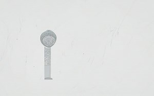 What is the importance of meat packaging? [2025] | QAQooking.wiki