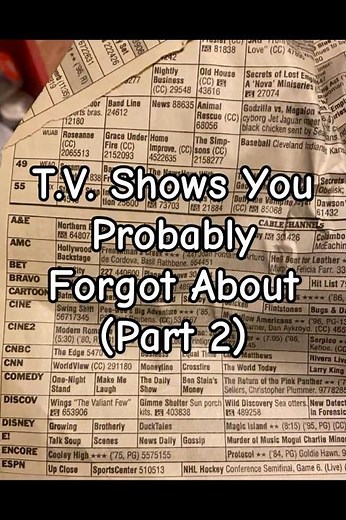 TV Shows You Probably Forgot About (Part 2)