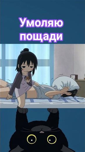 name - the wild three