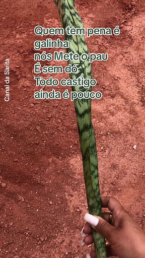 Simpatia Para Vingança e Castigo: Espada de São Jorge e Quimbanda