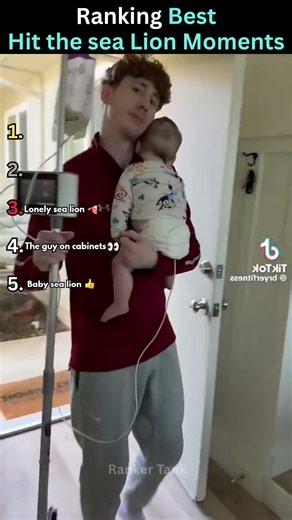 Ranking BEST Hit The Sea Lion Moments 💀