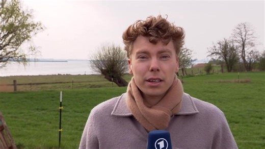 tagesschau24: Marek Walde, NDR, zum neuer Rettungsversuch für gestrandeten Wal bei Wismar