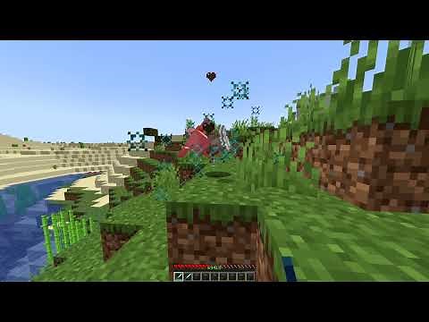 duping on hypixel smp