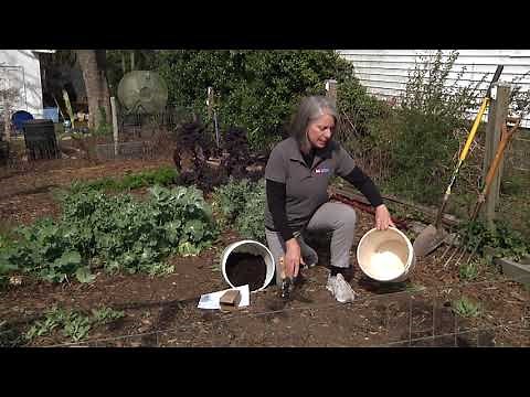 Homegrown | How to Test Your Garden Soil
