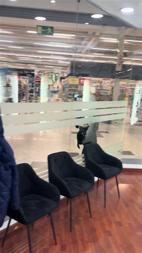 #parati #peluqueria #estilista #colorista#videoviral