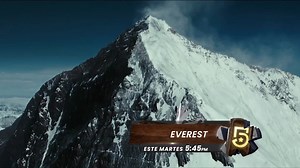 Disfruta de estas películas que tenemos para ti con un #Canal5 para sobrevivir al fin del mundo 📺🍿 #Un5ParaTi | Canal 5