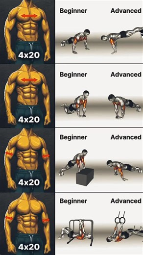 11K views · 27K reactions | Chest + Arms: Beginner ➡️ Advanced  ✅ Push-Up ➡️ Decline Push-Up ✅ Diamond (Knees) ➡️ Diamond Push-Up ✅ Incline Reverse Push-Up ➡️ Reverse Push-Up ✅ Inverted Row ➡️ Ring Weighted Row  Tip: Focus on slow negatives to build strength no matter your level.   Save this workout & follow us for more tips! | __fitmax_ | Facebook