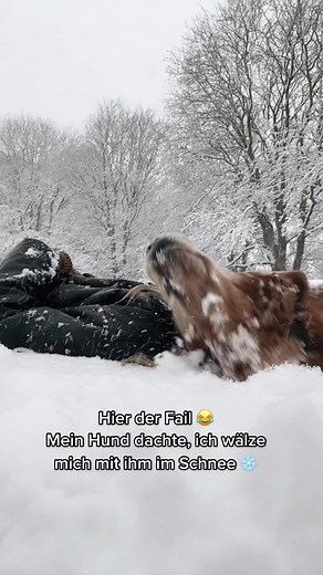 #fail #outtake #fy #fypシ #foryoupage #snow #dog #goldenretriever