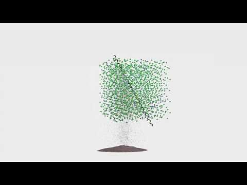 The Anatomy of the Air Separation Process