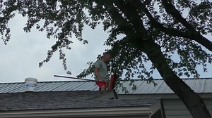 Insurance isn't the only thing that gets done at TGIF Solutions - Shellhammer Atwood Agency 粒 Make sure to Like/Follow High Top Sports, Sprankle’s Neighborhood Market for more videos and giveaways throughout the fall sports season! #insuranceforwhatmatters #sushimadness    | High Top Sports | Facebook