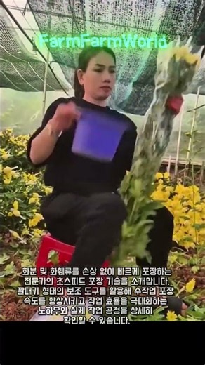 손끝 하나 안 상하고 화분 포장 끝내는 방법 #worker #process #satisfying #packing #flower