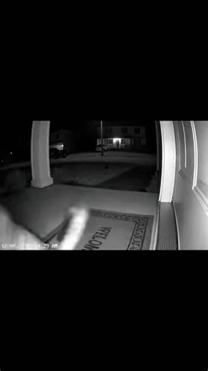 Real street cats don’t play around 😭🐈⚔️🐈 The door cam captured the most intense stare-down ever — and then a full-blown cat fight! One hiss and the whole porch turned into a battlefield. Territory matters in cat world! #CCTVFootage #DoorCam #CatFight #BlackAndWhiteCCTV #ViralReels | Meow TV