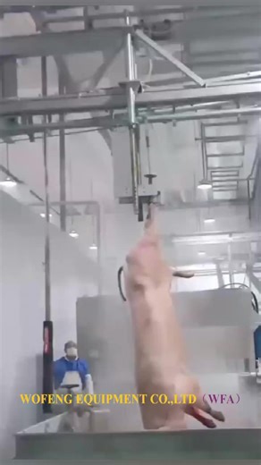 Complete Factory-Grade Pig Slaughter Equipment for Efficient Hog Slaughterhouse Operations