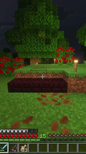 MIECRAFT PATH #minecraft #minecraftshorts #minecraftmemes