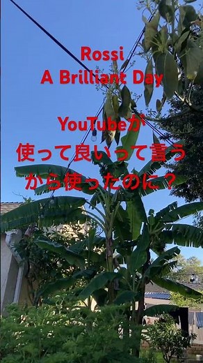 謎のコピーライトストライク#収益化停止 #著作権