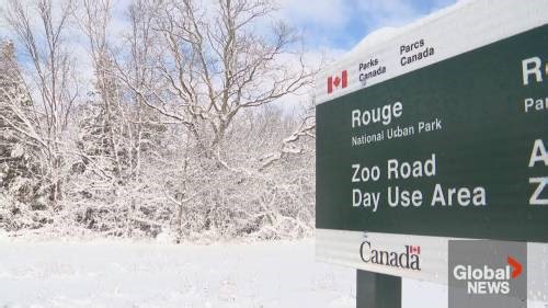 Parks Canada seeing ‘three-fold increase’ in abandoned pets at GTA park