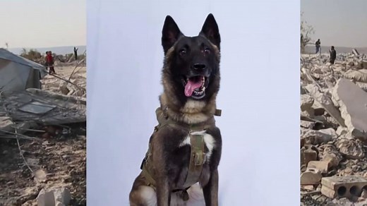 Trump releases photo of hero dog injured in al-Baghdadi raid