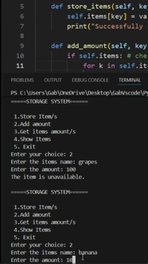 Simple Python Storage System Project