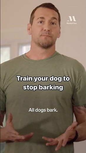 How to train your dog to stop barking | MasterClass