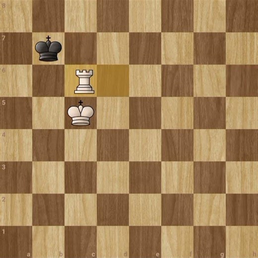 Easy Rook Mate 😼♜ #chess #checkmate #chessgame #endgame