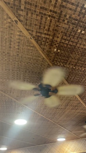 Lillycrest Ceiling Fan #shorts #ceilingfan