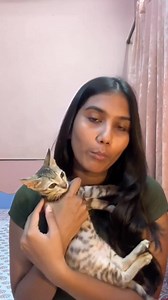 Benefits of neutering and spaying -- #cat #feline #felinefriend #shrihittvlogs #lifestyle #vlogger #dayminivlog #dailyvideoblog #dayvlog | Shrithitt Vlogs