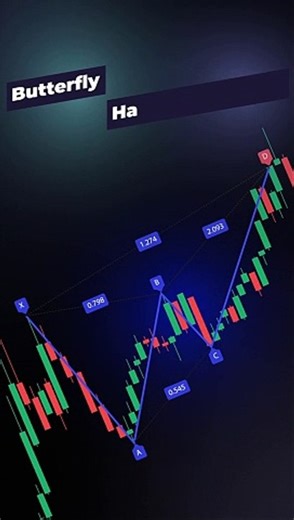 Butterfly Harmonic Pattern-Harmonic Detector [TradingFinder]