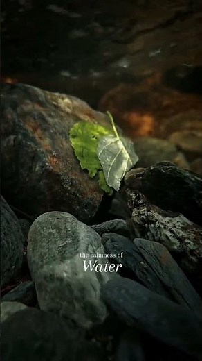 ​"Liquid Zen. Flow state. Quiet depths. Just breathe."
