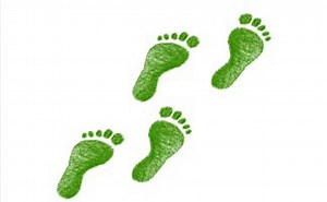 Ecological Footprint Analysis | Science Project