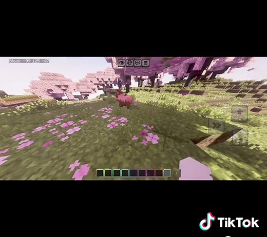 Pt 6 | Tutorial how to fix lag on minecraft with vibrant visuals on #fyp #fypage #fyppppppppppppppppppppppp #fypシ゚ #minecraft #mc #minecraftbedrock #minecraftpe #ios #iphone #sr #actionandstuff #vibrantvisual #prizma #minecraftanimation #Minecraft