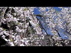 化粧／坂本冬美／Relaxing Music