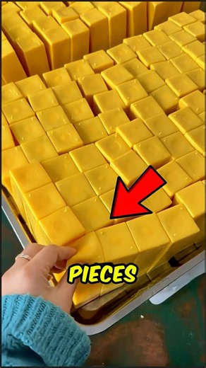 The Hidden Secret Inside Butter Squishies Will Surprise You! 🧈😱