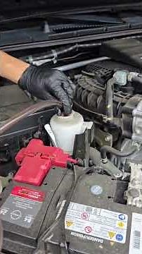 Changing Power Steering Fluid #powersteering #flush #diydave