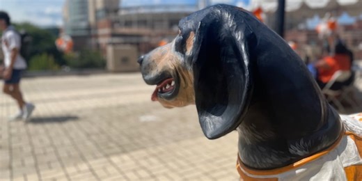 Active shooter training brings police, fire departments to UT campus