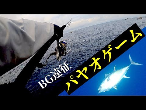 [2024 Big Game Fishing] Chasing Dreams in Early Summer Payao [Mie Prefecture Payao Jigging & Cast...