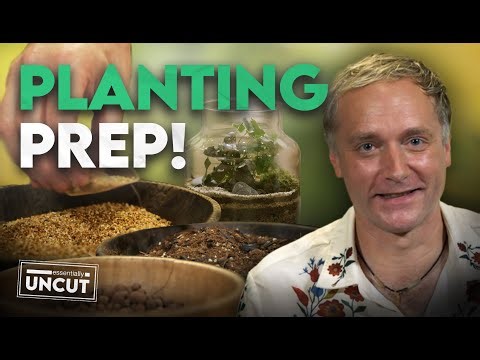 Terrarium Prep Made EASY