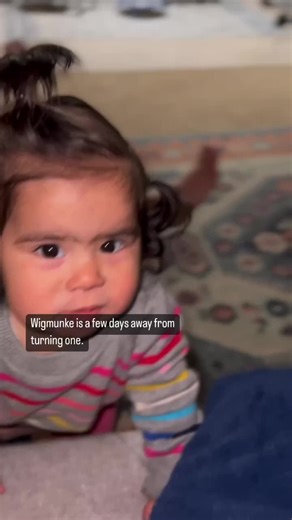 Dr. Eagle Shield on TikTok