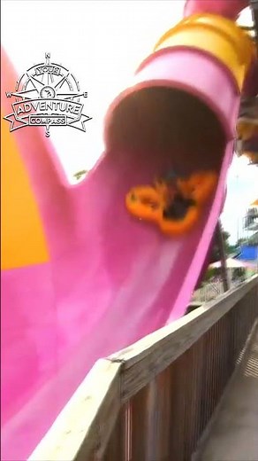 Dive into the Funnel of Fear at Michigan's Adventure water park! 🌊🎢 #youradventurecompass