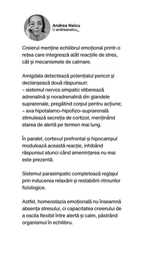 Homeostazia emoțională: echilibrul dintre alertă și relaxare