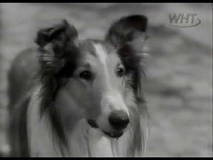 Lassie S02e03 The Kittens