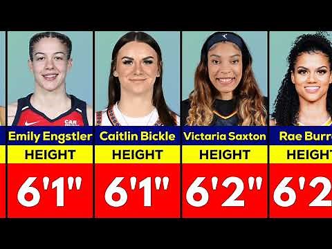 The Best WNBA Players by Height
