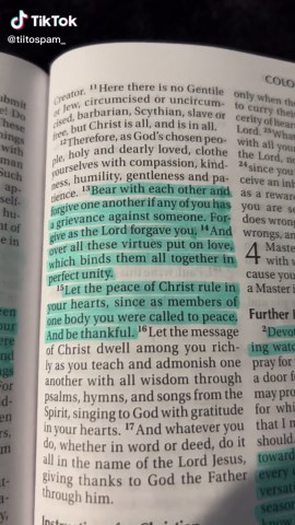 Embracing Forgiveness: Colossians 3:13-15 Insight