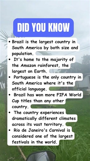 Brazil Facts That Show Why It's a Country of Extremes 🇧🇷