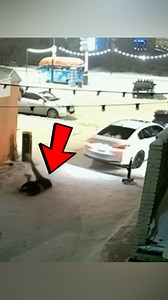 Woman Gets Out of Car and Smashes Barrier Bar #funny #fyp #viral2025 #uncledale #fails | Uncle Dale