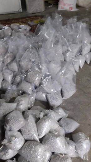 Mushroom spawn making | Macsi Tronglaobi