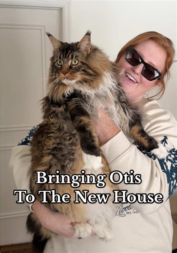 It was sooo much less stressful having my cat at my parents house while we moved… 10/10 would recommend