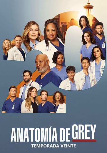 Anatomía de Grey temporada 20 - Ver episodios online