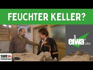 Damp cellar with damp masonry, as well as salts and nitrates – everything is present. How do I de...