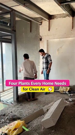 4 Indoor Plants That Clean Your Air & Improve Your Health 🌿 Most homes today are sealed with glass, ACs and less ventilation. That means dust, toxins, humidity and poor oxygen quality stay trapped inside your home even in a luxury apartment. The solution? Not expensive air purifiers… but smart indoor plants 🌿 Here are 4 scientifically proven indoor plants every home should have: 1️⃣ Snake Plant (Bedroom Hero) Releases oxygen at night. This means better sleep, deeper breathing and less fatigue